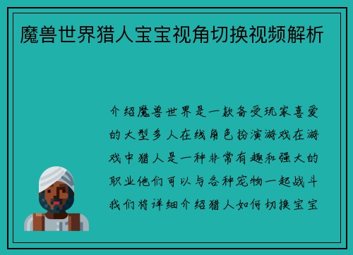 魔兽世界猎人宝宝视角切换视频解析