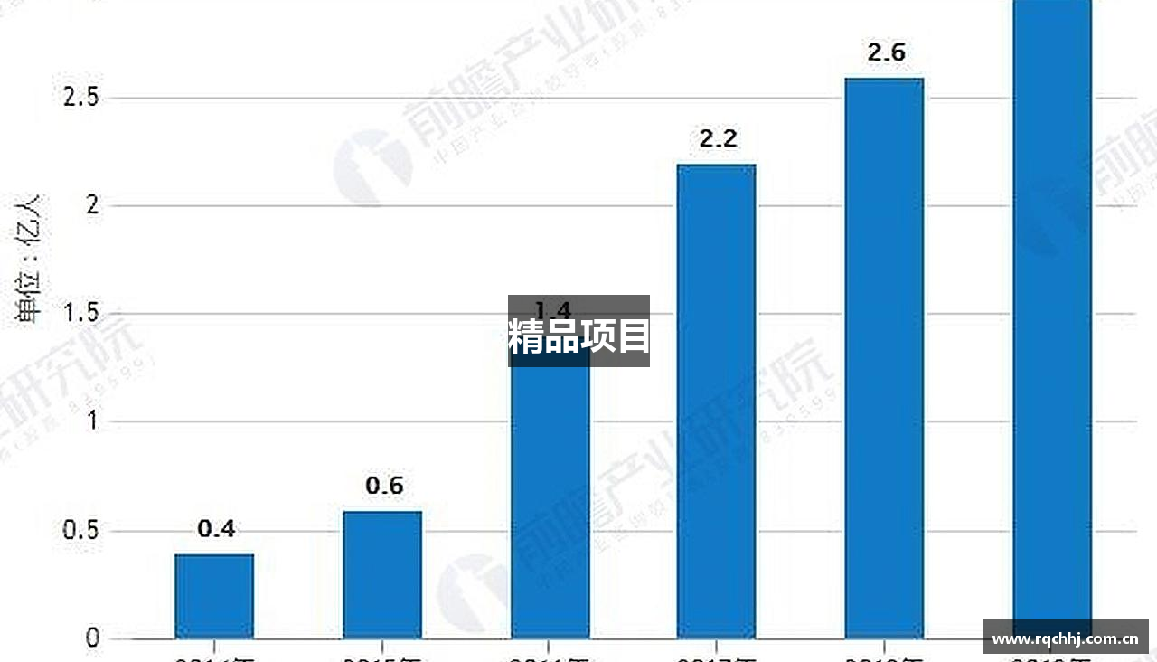 精品项目